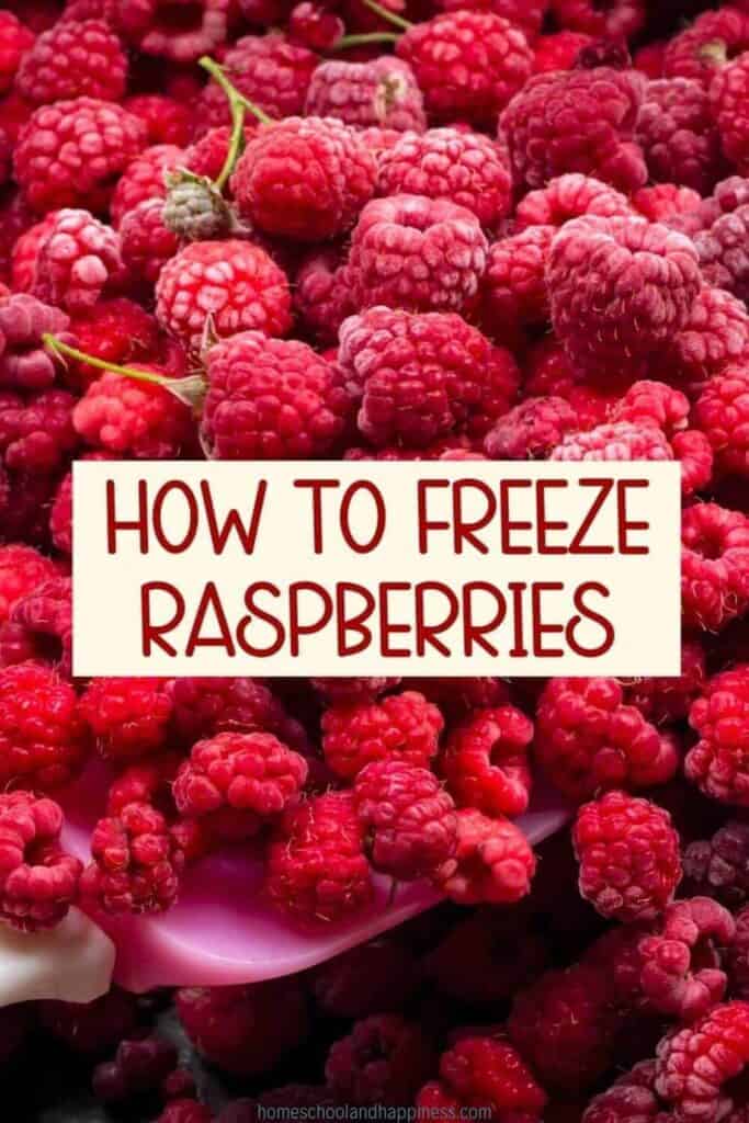 How to Freeze Raspberries Whole Easy