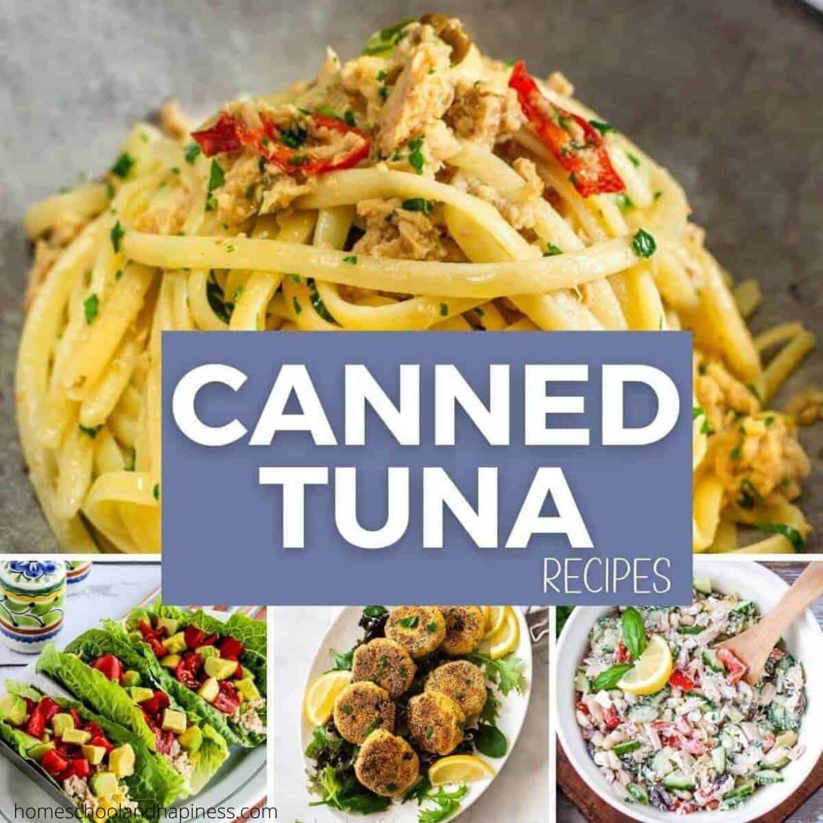 20+ Canned Tuna Recipes What To Make with Canned Tuna