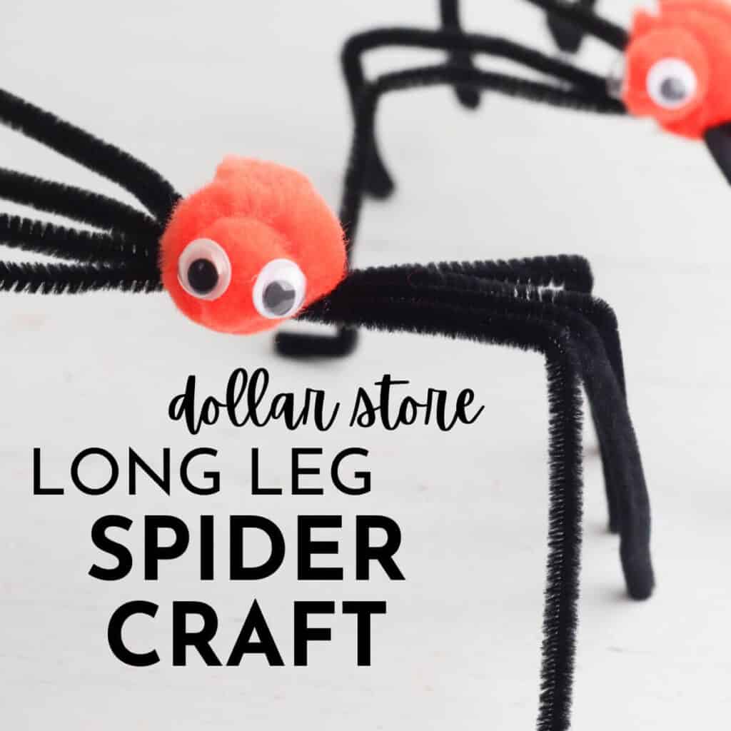 Daddy Long Legs Spider Craft – The Pinterested Parent