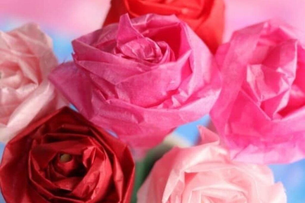 Roses by Happy Hooligans