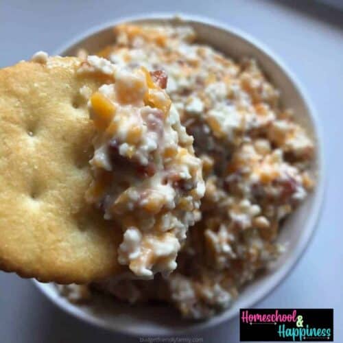 Honey Bacon Cheese Dip with Ritz Crackers