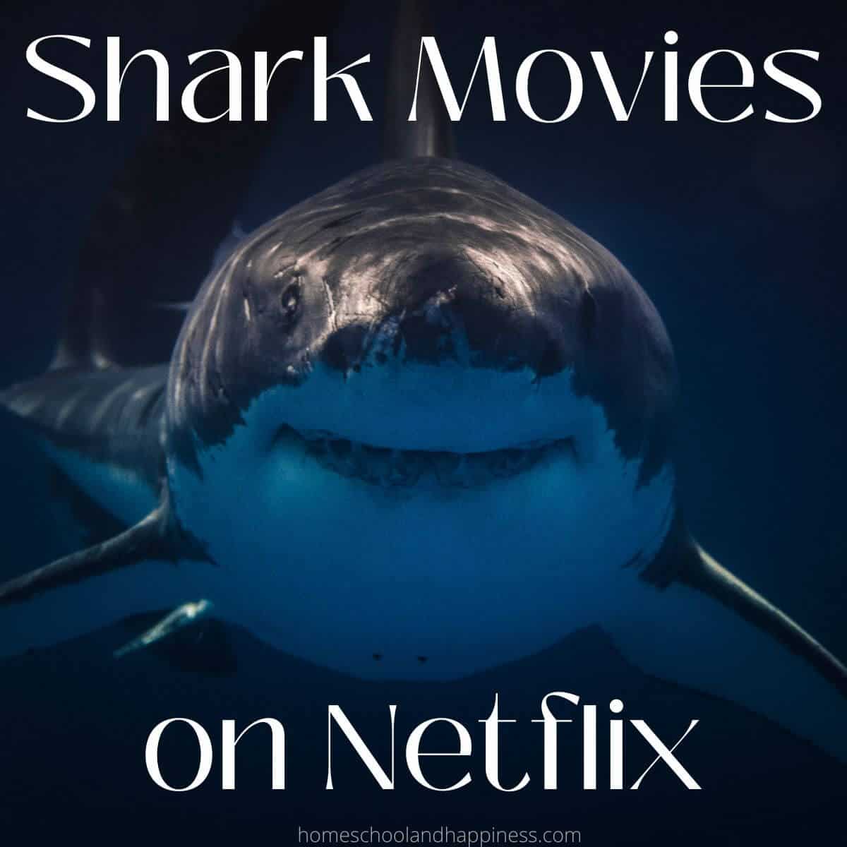 4 Best Shark Movies on Netflix To Watch In 2023