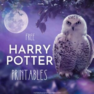 22 Free Harry Potter Printables for Kids