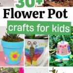 Pinterest Hidden Image