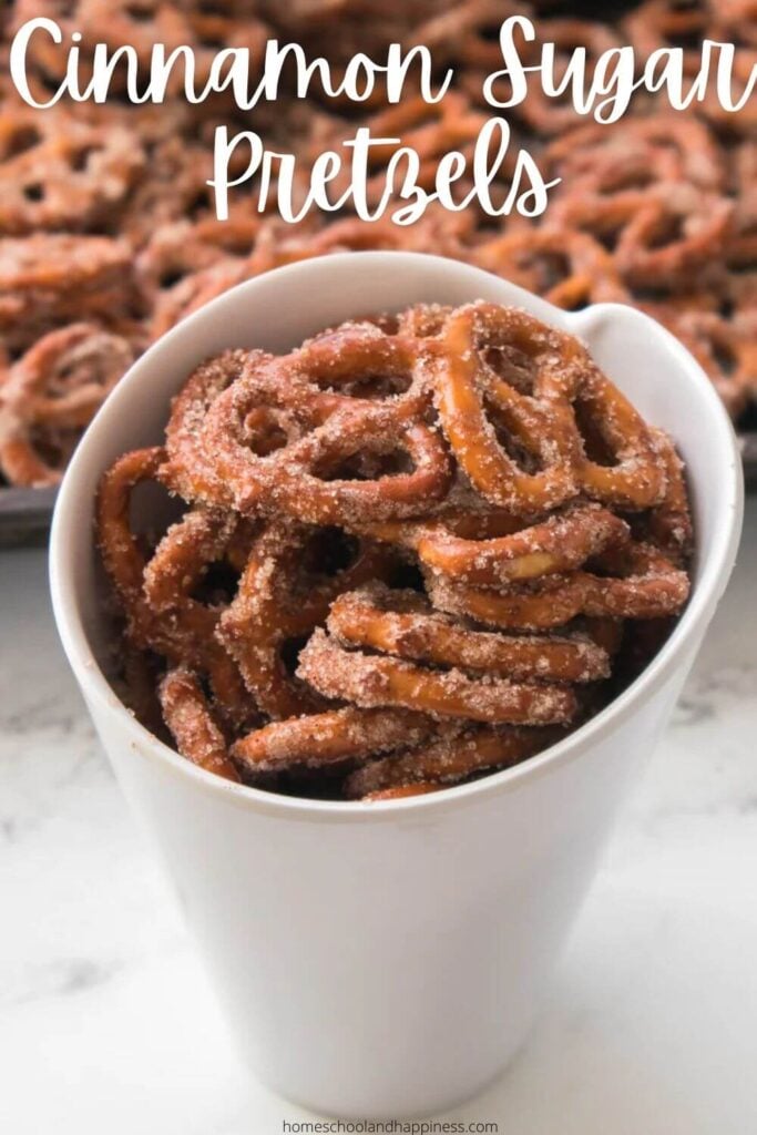 Cinnamon Sugar Pretzels Twists