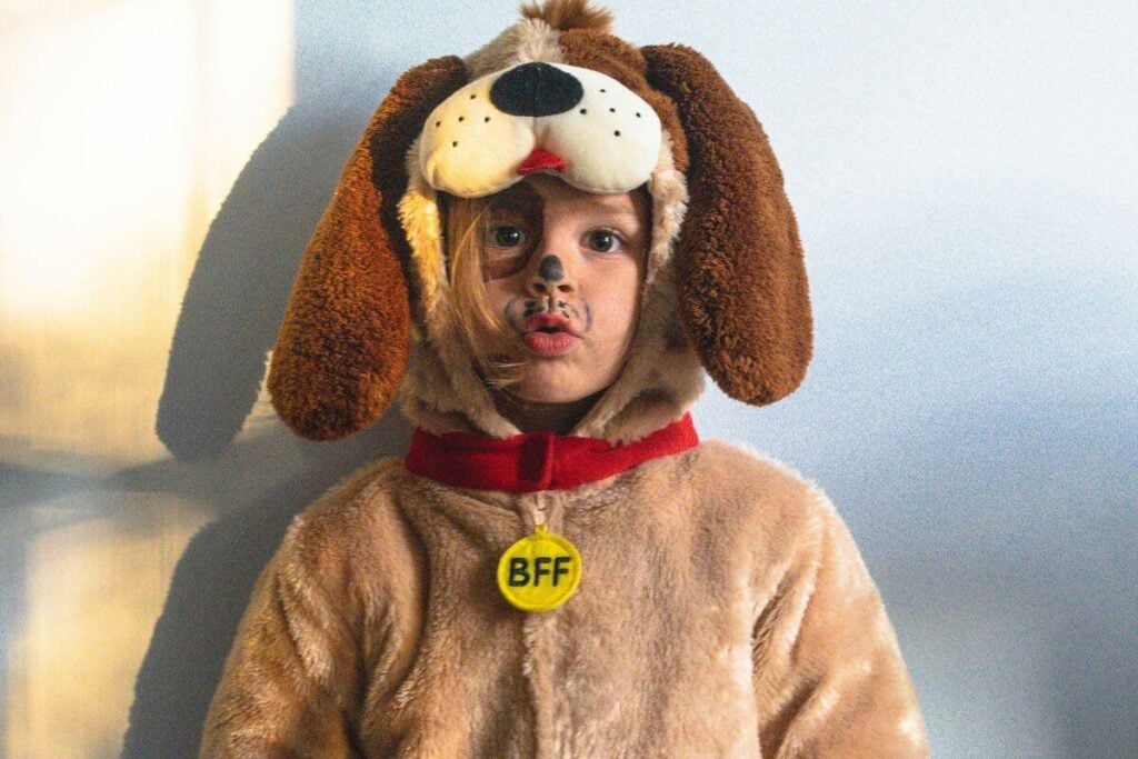 puppy animal costume by unsplash