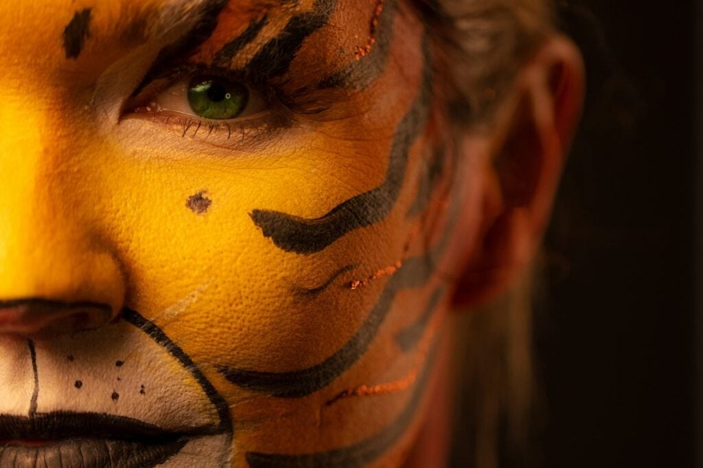 tiger costume unsplash