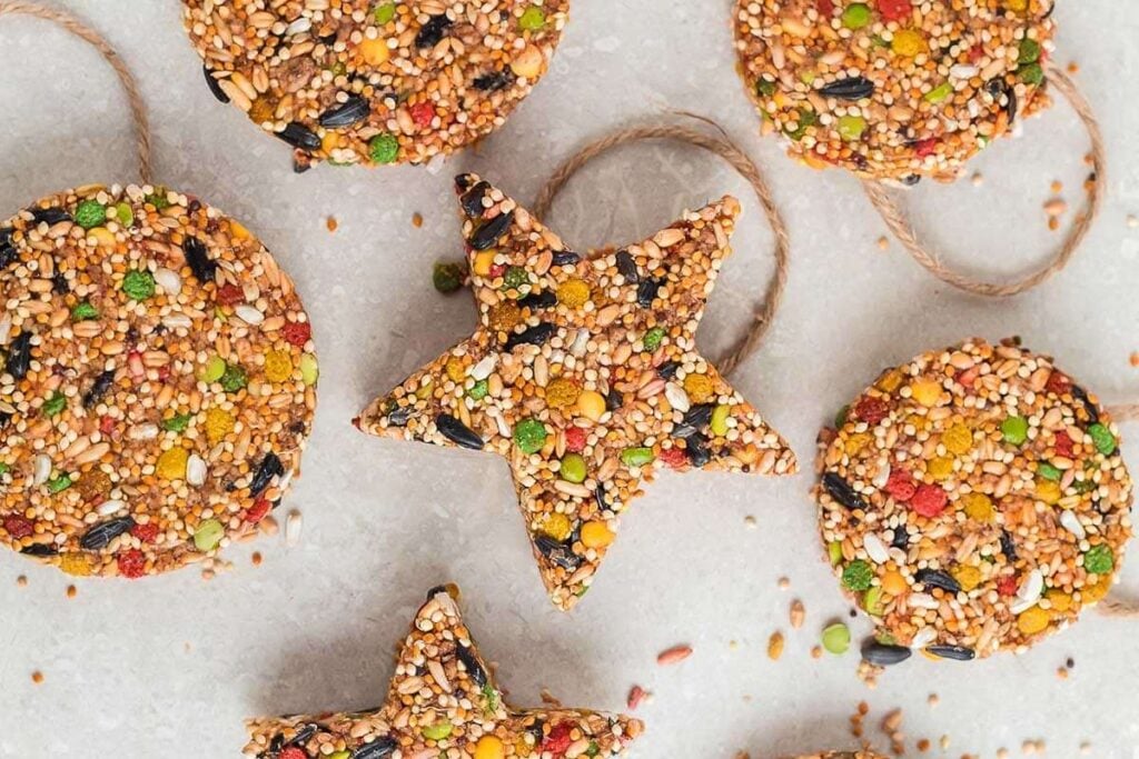 Birdseed Ornaments by xoxoBella