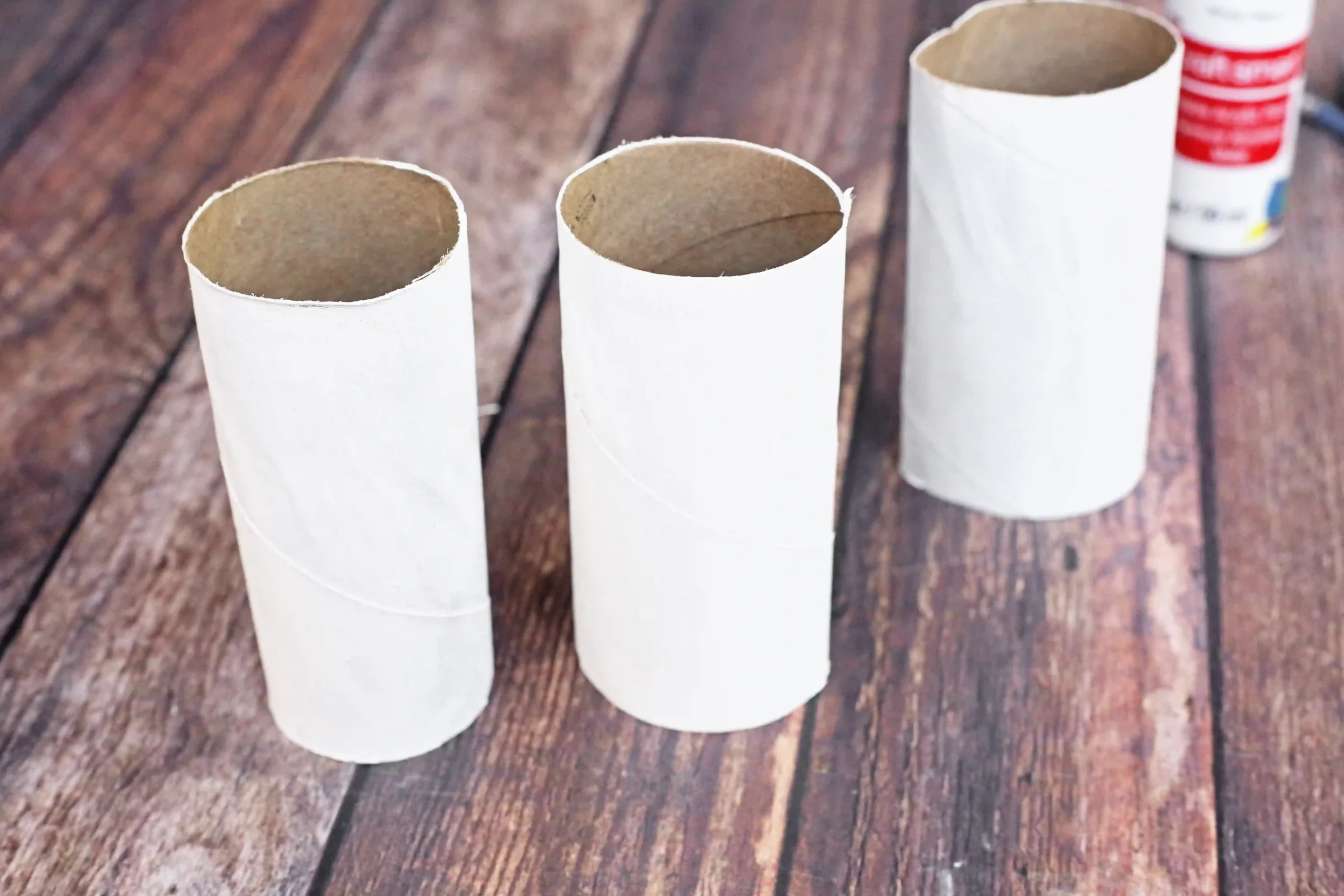 toilet paper rolls painted white