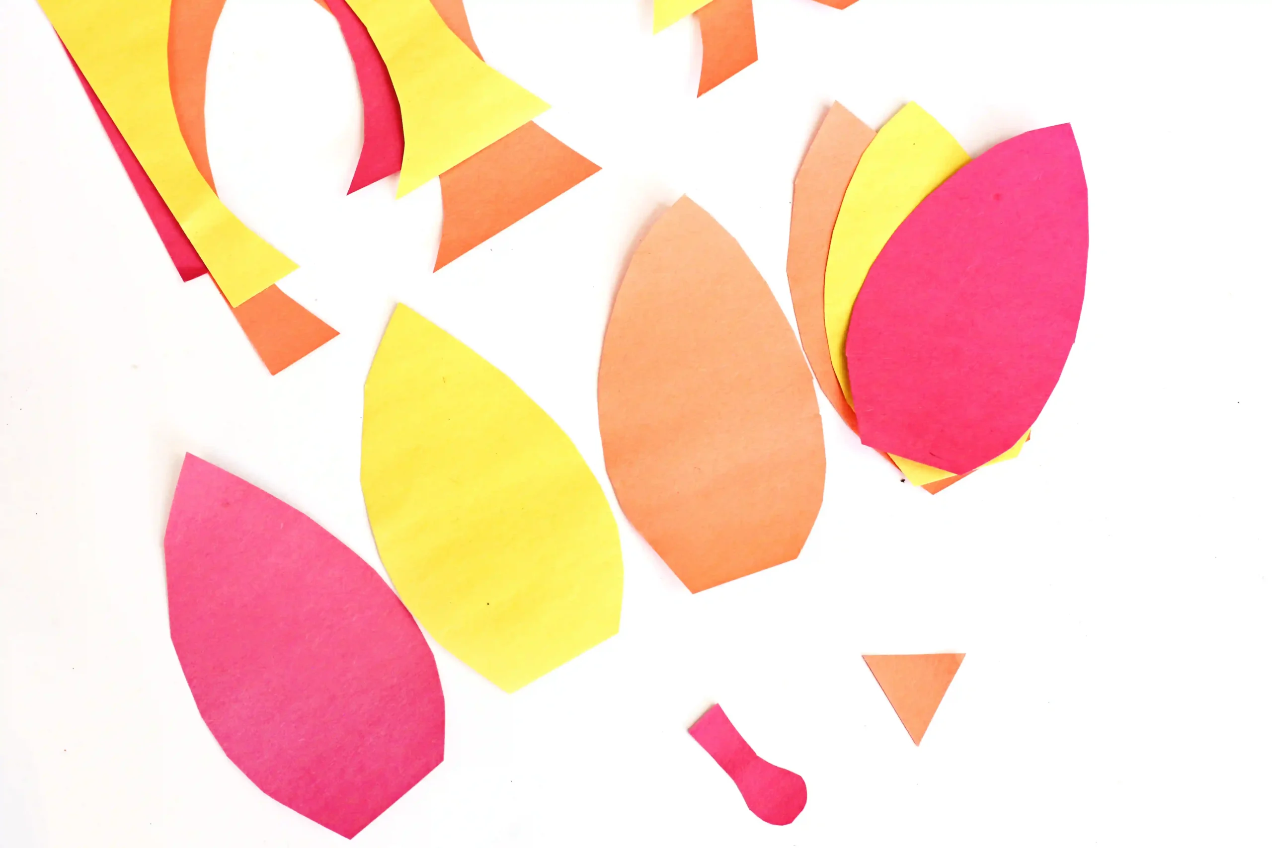 feathers, a beak, and a snood cut out of construction paper