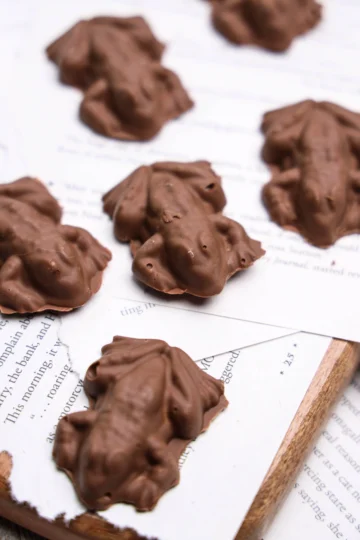chocolate frogs on pages of a book